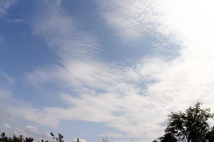 b0089483_4141084.jpg