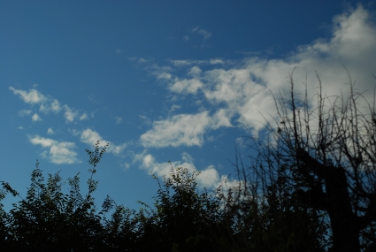 c0117383_2223536.jpg