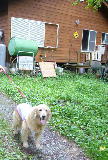 c0085188_11561044.jpg