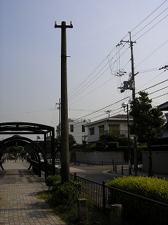 f0097493_1242947.jpg