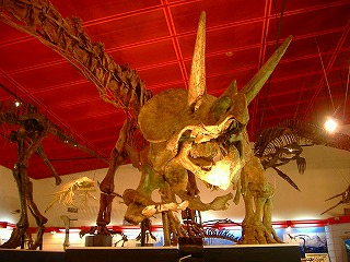 c0107997_16441370.jpg