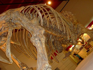 c0107997_16555022.jpg