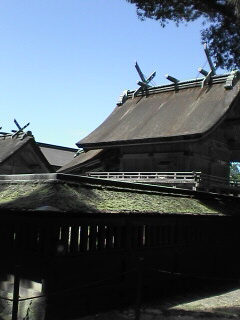 d0054997_17194446.jpg