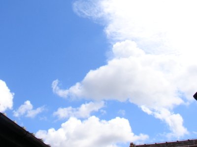 a0031000_15144818.jpg