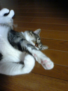 c0035001_20452987.jpg
