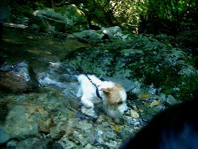 a0051402_053427.jpg