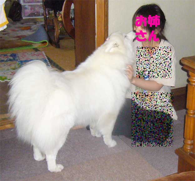 e0018604_17441829.jpg