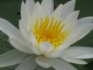 c0098807_9311298.jpg