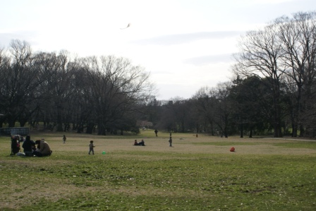 d0059008_231317.jpg