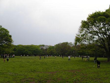 d0059008_2342426.jpg