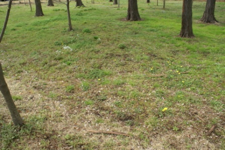 d0059008_237471.jpg