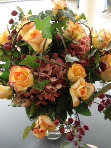 e0089710_52491.jpg