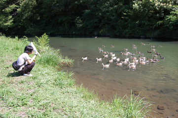 f0105810_2415237.jpg