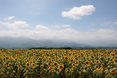 b0072515_2326192.jpg