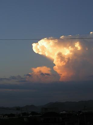 b0109220_20112256.jpg