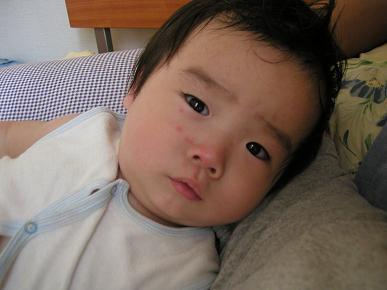 b0109220_20145699.jpg
