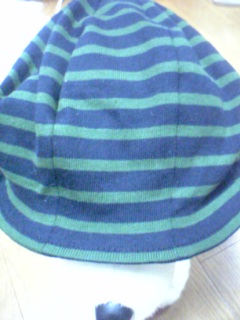 e0114624_6161394.jpg