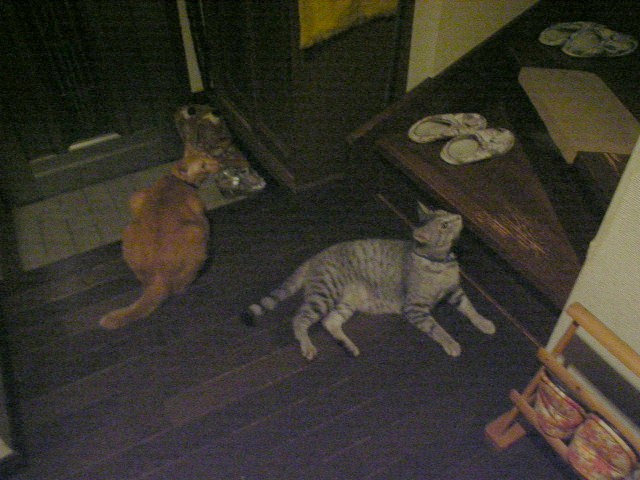d0081025_1925394.jpg