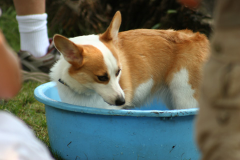 e0071225_15455548.jpg