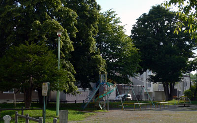 a0046429_1983574.jpg