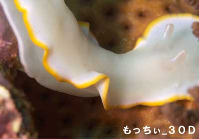 c0133732_1305715.jpg