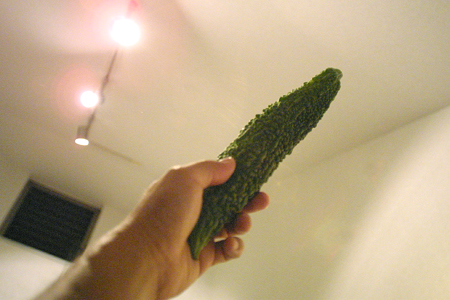 a0097735_0385521.jpg