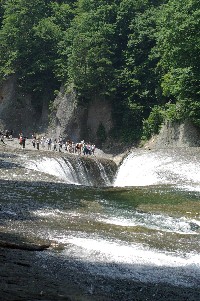 b0057839_1251393.jpg