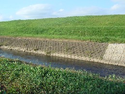 e0066139_23595393.jpg