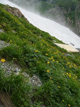 f0065941_10475668.jpg