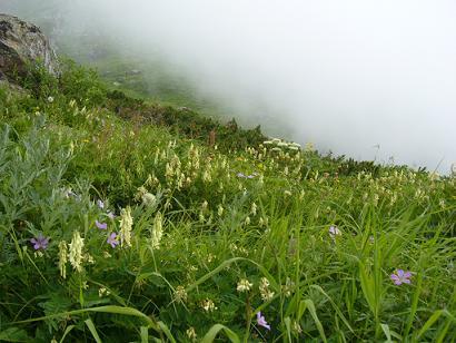 f0065941_10564490.jpg