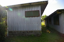 f0120141_1440319.jpg