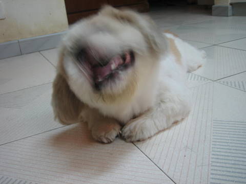 e0018143_043146.jpg