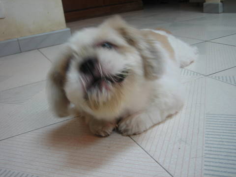 e0018143_0434263.jpg