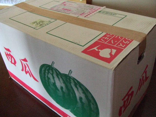c0071545_11425358.jpg