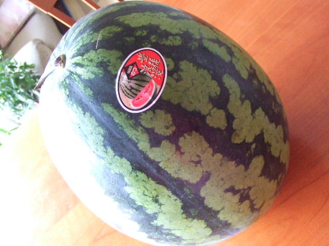 c0071545_11441127.jpg