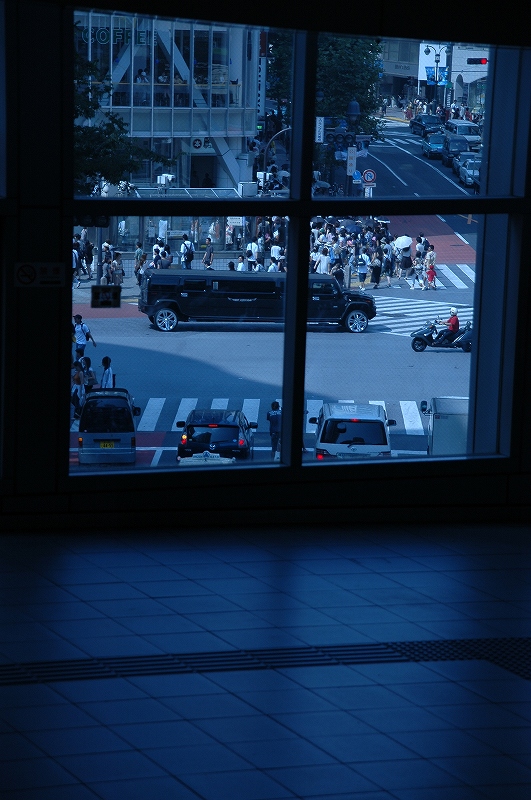 d0010052_23183854.jpg