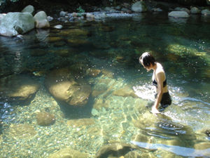 e0084955_10251047.jpg