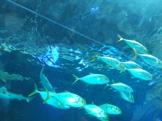 e0035461_6562491.jpg