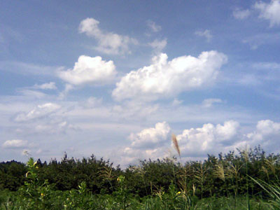 c0050264_1739421.jpg