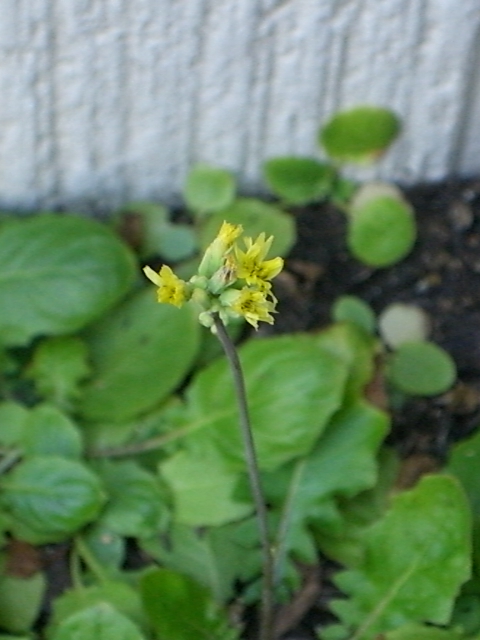 b0119969_15211679.jpg