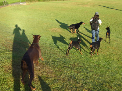f0025769_1015213.jpg