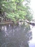 d0109373_21541097.jpg