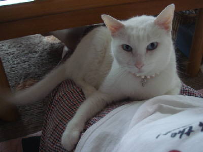c0023474_1713780.jpg