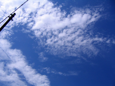 f0101776_1849504.jpg