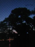 e0000377_4353766.jpg