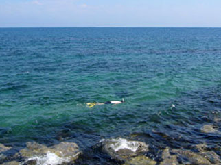 b0057679_8421938.jpg