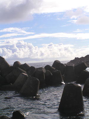b0070879_12285986.jpg