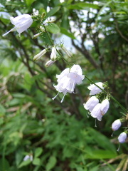 a0094280_22261555.jpg