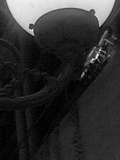 f0100480_20383475.jpg