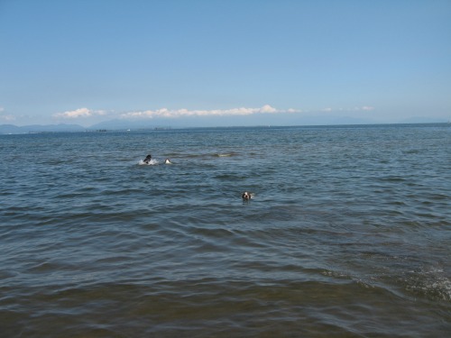 f0133681_22411051.jpg